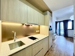 Duo Residences (D7), Apartment #500136131